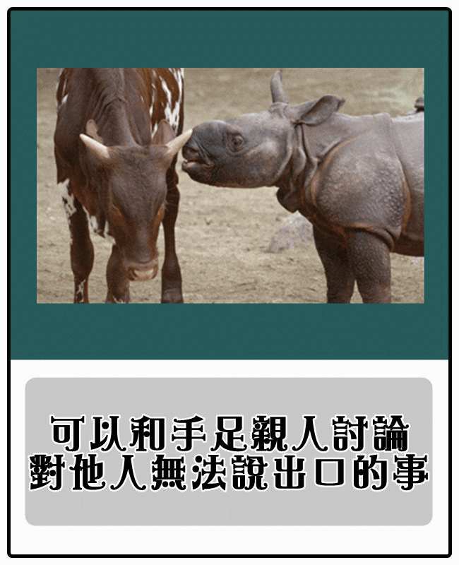 Image提供_giphy