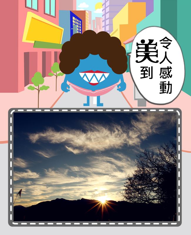 Image來源_嘉義林區管理處