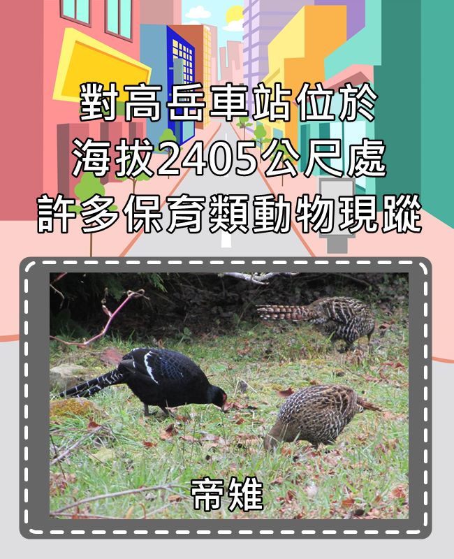 Image來源_嘉義林區管理處