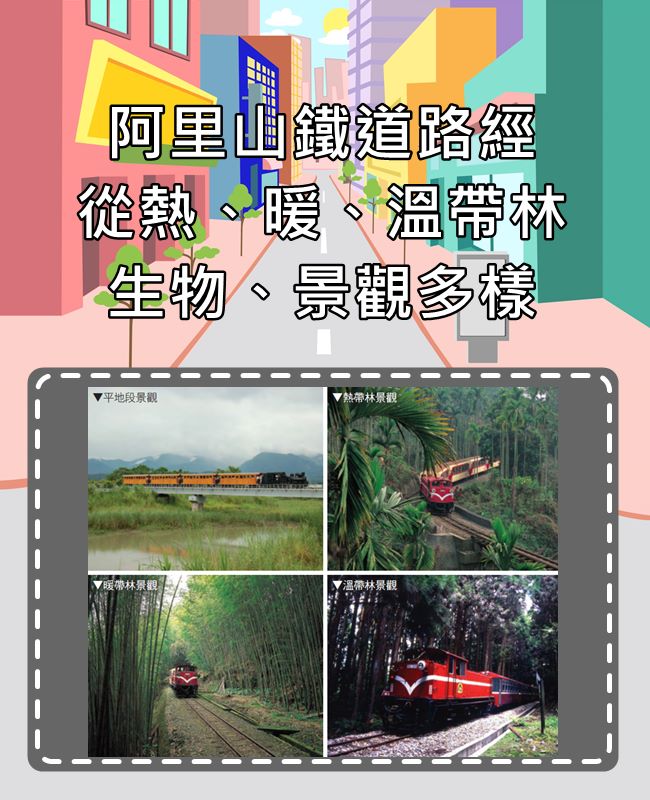 Image來源_嘉義林區管理處