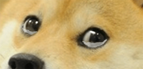 Image提供_giphy.com