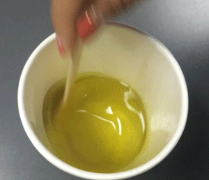 PIKICAST | 宅精靈