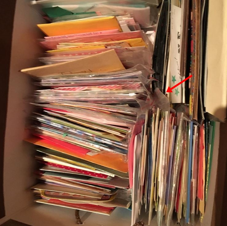 Image來源_instagram_溫流