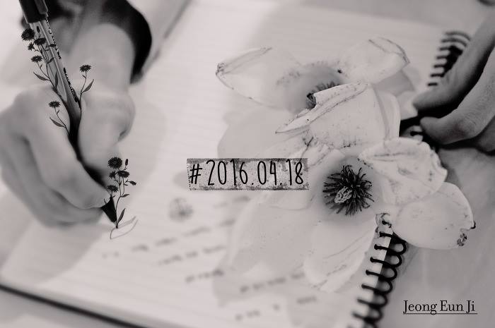 Image來源_Facebook_Apink