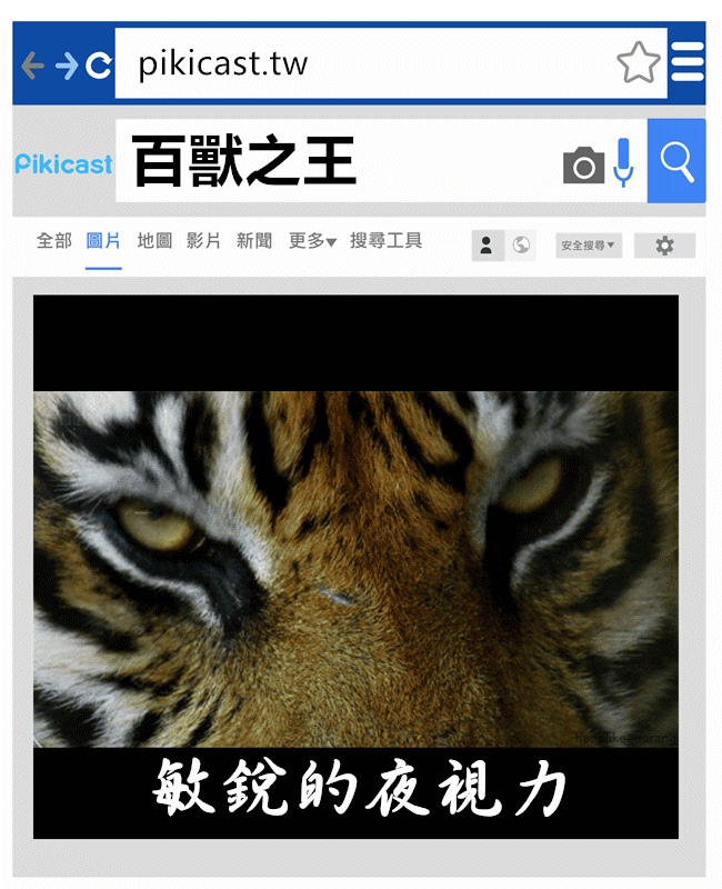 提供_giphy
