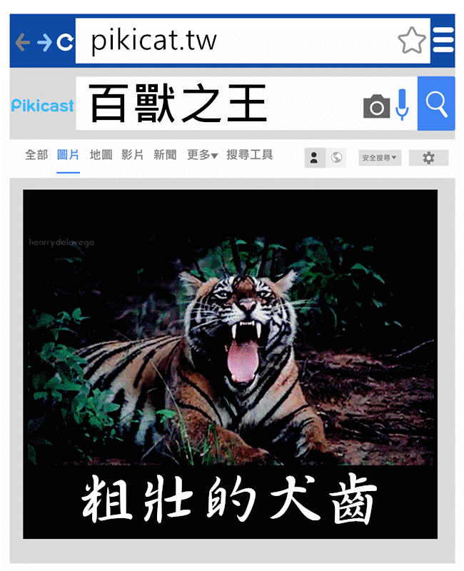 提供_giphy