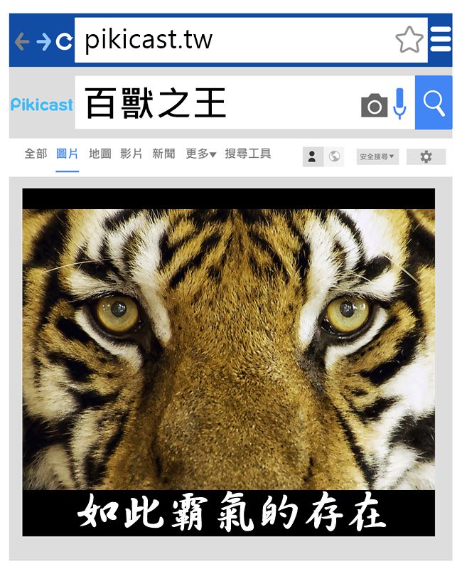 來源_pixabay