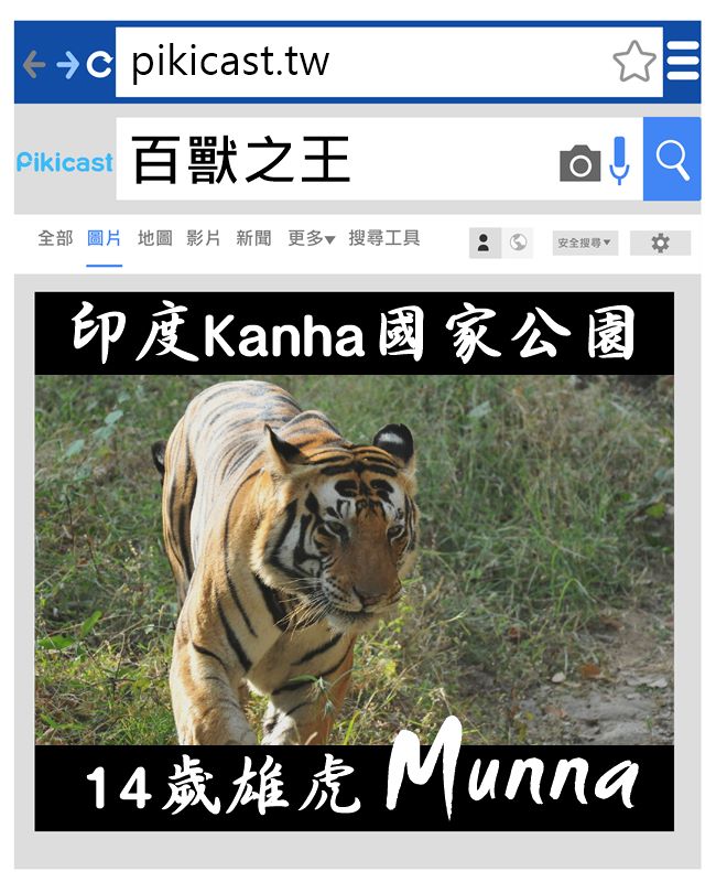 來源_kanha national park