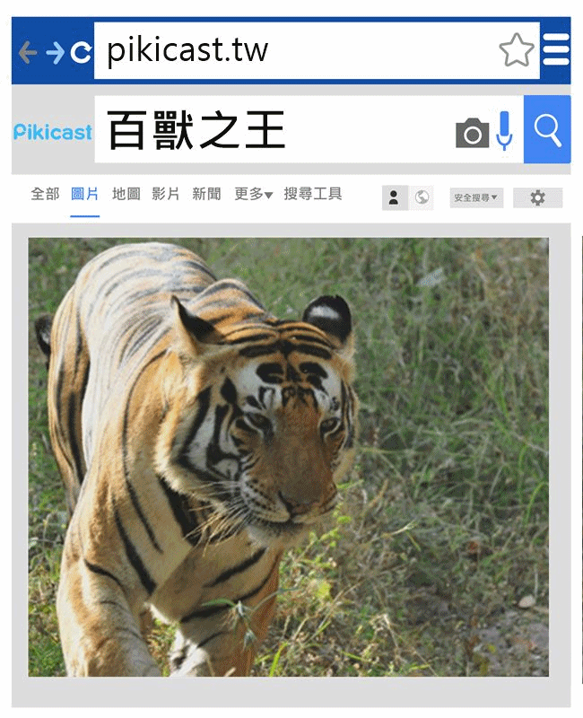 來源_kanha national park