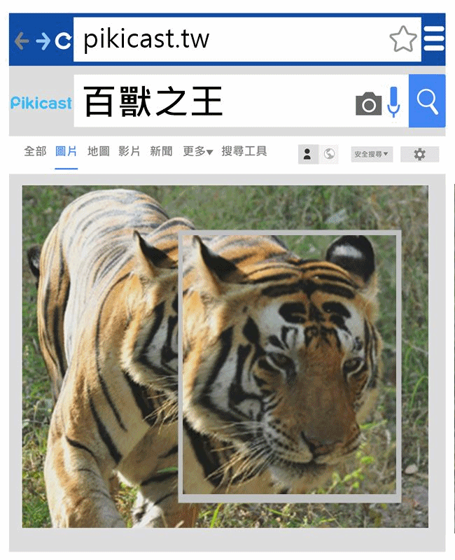 來源_kanha national park