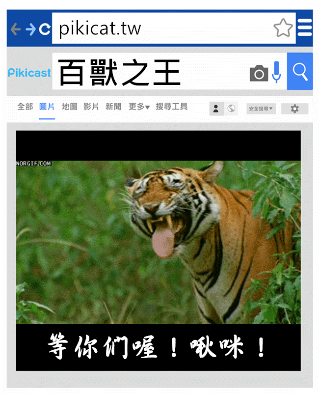 提供_giphy