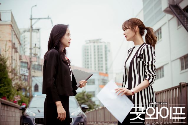 《The Good Wife》主要講述檢察官丈夫因政治緋聞被捕後,婚後就辭職不再工作的妻子從此擔負起生活的重擔,時隔13年再次以律師的身份回歸職場並找到真正的自己的故事。