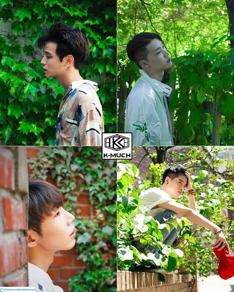 K-Much (가물치)
像是男團K-Much,融合了Kpop的K和代表多數的Much,乍聽之下似乎不錯,但是殊不知K-Much的發音在韓文裡面跟「竹夾魚」根本是同一個字…這也難怪不只是專家,連網友也說怎麼聽都覺得不會是巨星啊