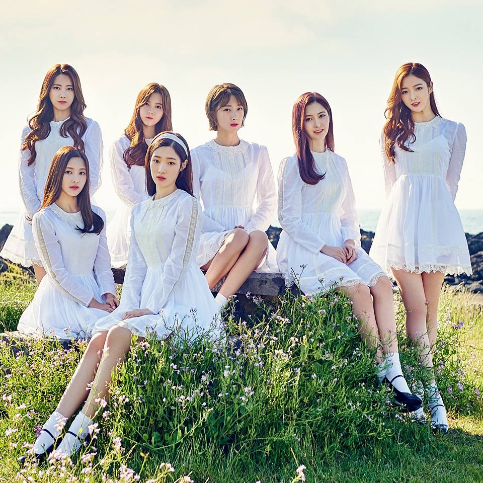 TOP 6. DIA +1090名
雖然大家一直罵I.O.I彩妍提前脫隊回去捧母團DIA,但不得不說DIA的確因此獲得了更多關注!本月一下上升1千多名粉絲,總粉絲數來到8,247人