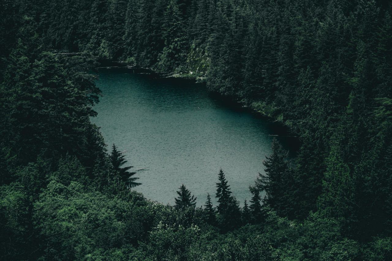 沉浸在稍微有點暗暗地、靜謐的氛圍中,
看著看著好像耳邊傳來了風的聲音,
也能聞到隱隱的樹木香味...
就是這樣的感覺,自然的感覺!