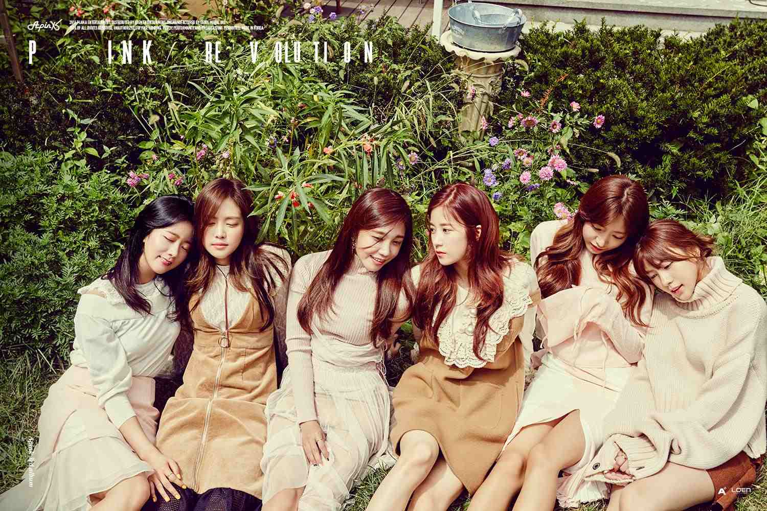 Image Source: Facebook|APINK