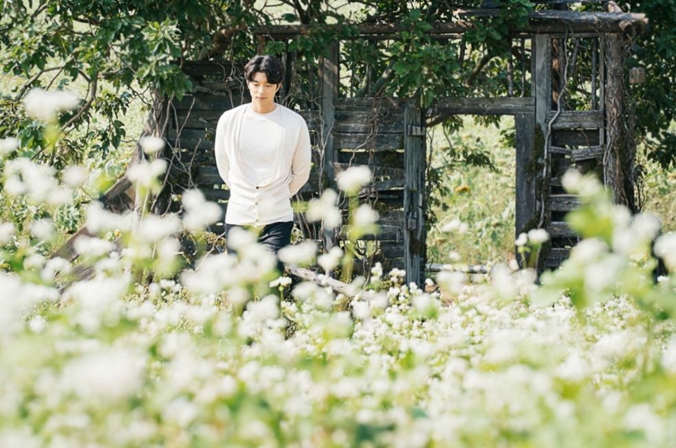 Image Source: soopent.