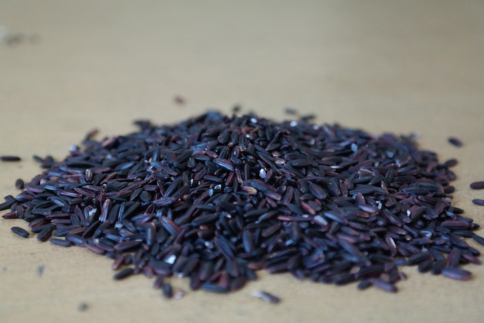 # 飲食篇
黑米:黑米素有「補血米」「長壽米」等稱號,它富含碳水化合物、B族維生素和礦物質以及大米所缺乏的維生素C、葉綠素、花青素、胡蘿蔔素等各種營養元素。黑米的高膳食纖維容易產生飽腹感,維生素B群里的B1、B2、B6和B12都能夠促進脂肪、蛋白質、糖類的代謝,具有燃燒脂肪、避免脂肪囤積的功效!