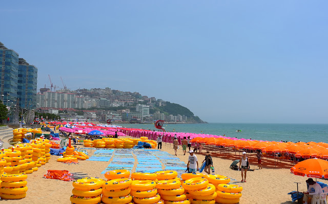 1. 海雲台
說到釜山就不得不提起海雲台,海雲台幾乎已經成為釜山的代名詞了。
每年夏天大批的韓國人就會湧入海雲台享受夏日時光, 就像上面圖片看到的,幾乎整個海灘都被陽傘跟人潮佔據,可以說是釜山行必定的朝聖地。
交通:地鐵2號線海雲臺站3、5號出口徒步8分鐘
附近還有哪裡好玩?
如果你開車的話,可以沿著附近的迎月路(달맞이길)兜兜風,享受海岸道路的悠閒愜意。