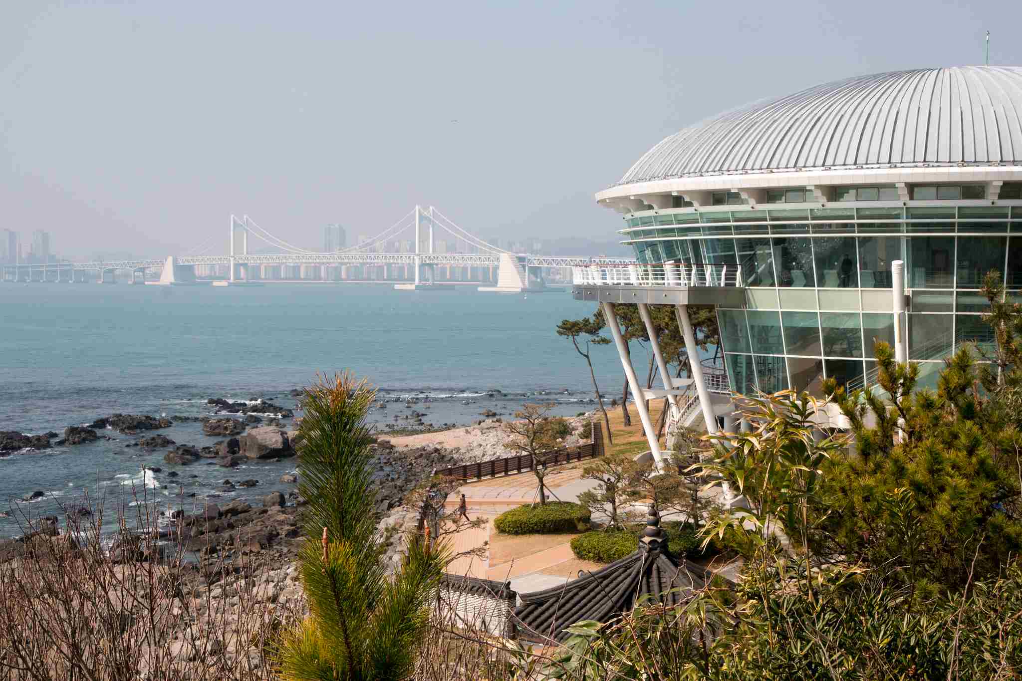 03 冬柏公園
冬柏島裡的世峰樓保留了2005年APEC的會議場地,現在則是開放給觀光客參觀,還有一些照篇記載了當時APEC的情形。從冬柏島還能看到廣安大橋,沿著環海步道也能慢慢走到海雲台,此條道路上可是有著城市與海緊鄰共存的特殊景色。