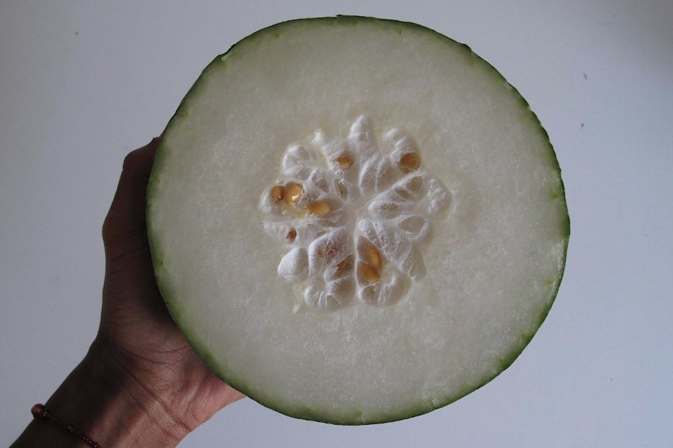 ♯ 冬瓜
冬瓜是很多人青睞的減重食品,高鉀低鈉,能促進體內多餘水分、鈉和其他廢物的代謝,它還富含丙二醇酸,可抑製糖類物質轉化為脂肪,防止出現體內脂肪堆積。冬瓜還有豐富的維生素B1、B2、B6,它們都是參與脂肪代謝的重要成員。