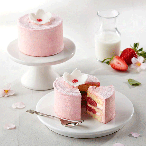 SPRING DAYS MACARON
SPRING DAYS CAKE
Cherry Blossom White Chocolate
Iced Cherry Blossom White Chocolate