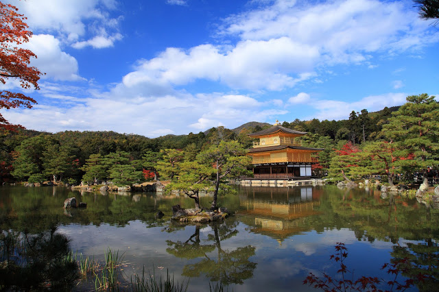 第二站:金閣寺
大家熟知的金閣寺事實上的名字是『鹿苑寺』,因為寺中的舍利殿貼滿了金光閃閃的金箔,因此又被大家稱作金閣寺。寺內的苑景宜人,四季都有不同的風光,但最受大家歡迎的要數冬天的雪景了。靄靄白雪將在寺頂,和金色的寺壁相互輝映,被稱做是會令人終身難忘的『雪金閣』。
▶︎交通:市巴士12、59系統至『金閣寺』徒步1min
▶︎建議停留時間:2小時