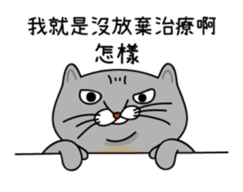 真的是一隻超級囂張的貓咪!就算被嗆還是戰鬥力滿點啊~雖然像這樣恣意行事真的很舒壓,不過妞妞們平時和朋友嘴砲時也要注意火候,如果太白目還是可能會傷感情唷~