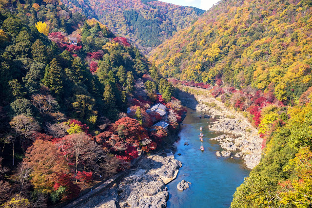 【11月中旬】
1. 京都嵐山
如果說到關西賞楓,一定不能錯過嵐山,直到12月底都是賞楓季,乘坐嵐山小火車沿著嵐山的桂川畔、渡月橋,一路來到常寂光寺,都讓人驚豔不已,想輕鬆漫遊的你也可以付費搭乘保津川遊船,從不同角度欣賞這片絢爛的美景。
嵐山小火車在熱門賞楓期間總是一票難求,及早購買才不會到了現場買不到票!