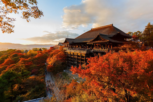 #夜間賞楓景點
1. 清水寺
平常去清水寺下午四、五點就準備閉館,但適逢楓葉季,清水寺會增開夜晚時段的營業時間,因為清水寺附近圍繞著楓葉樹,晚間七點開始,清水寺會為楓葉樹打上燈光,在這些燈光的照耀下,紅葉又更加奔放搭配上暗藍的夜色,更是堪稱京都最美的夜景。