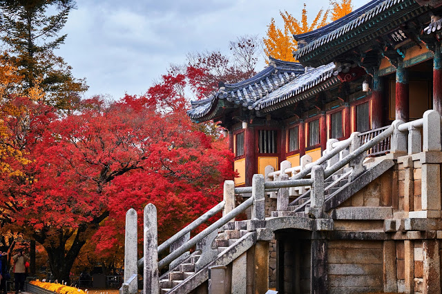 #慶尚北道(慶州) 賞楓景點
7.慶州佛國寺(불국사)
佛國寺是位於慶尚北道的一間佛寺,寺內有7件文物被列為韓國國寶,包括多寶塔、釋迦塔、藍雲橋和兩座金銅大佛等,在1995年也被列為世界文化遺產之一。它的歷史悠久,也會吸引韓國的佛教徒前來參拜。慶州距離釜山有一個小時的車程,有機會的話一定要到佛國寺欣賞風景,絕美的景致絕對值得長途跋涉。