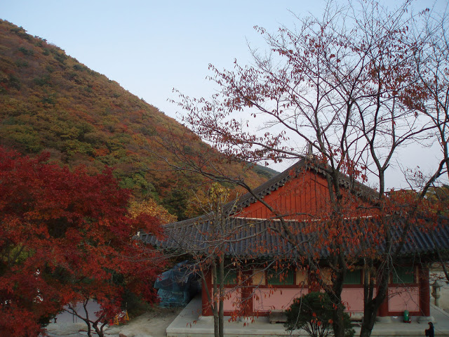 #慶尚南道(釜山)賞楓景點
8.釜山梵魚寺(범어사)
梵魚寺號稱釜山第一古寺,如果要賞秋楓一定要來到這,身心靈的壓力都會被美麗的景色洗滌喔!在下公車後沿路走往梵魚寺的途中就會看到許多染著艷紅的楓葉,整條路上皆是美景,這裡也是韓國人放假時常會來登山的地點之一。