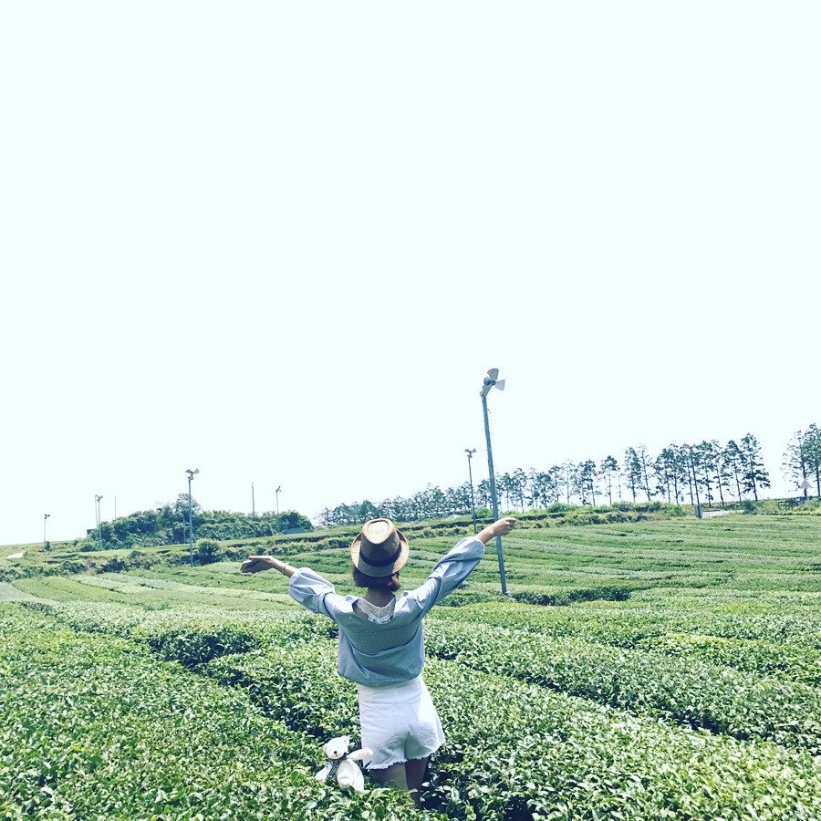 #在綠茶博物館邂逅歐巴
Innisfree大片大片的綠茶園怎麼拍都是風景!還可以體驗自製綠茶香皂,園內的咖啡廳有綠茶冰激凌,綠茶蛋糕,味道一級棒呢。這裏還是李敏鎬歐巴經常拍攝畫報的地方,來到歐巴走過的地方,有沒有覺得很幸福呢。