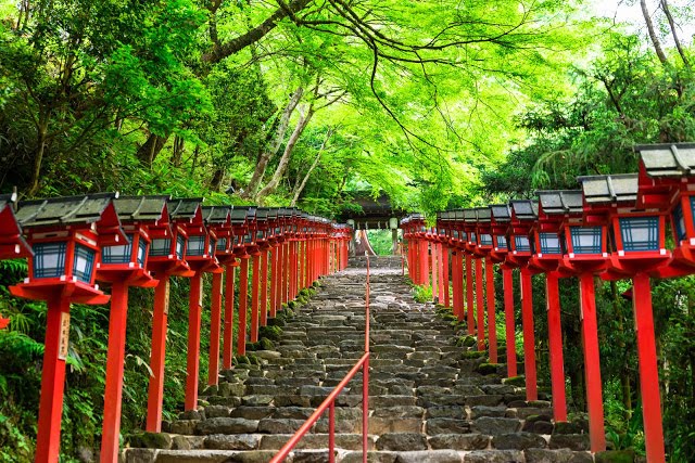 3. 貴船神社
如果你去膩了嵐山,小編也推薦你可以前往貴船與鞍馬兩個地方~一樣是一個四季來都會有不同景緻的地方,冬天的貴船神社鋪上一層白雪,荒涼幽靜的氛圍,會讓人有來到世外桃源的感覺!夏季的貴船則渲染了蓊綠的色彩,綠意盎然的景色讓人心曠神怡,如果是遇上賞楓季,還能看見美麗的夜楓,而且人潮也不會這麼多喔!