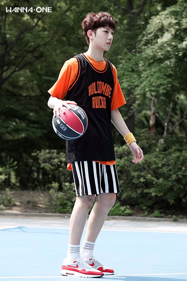 2001年生 滿15歲
身高183(可能更高了)
會說中文、英文、韓文
會棒球籃球游泳騎馬射箭鋼琴
國中成績全校第二名
來韓國當練習生六個月參加《PRODUCE 101》就成功在WANNA ONE出道
出道專輯銷量歷代第三名(第一名第二名都是EXO的專輯)
台灣兵役制度廢除,00年後出生不用當兵(真的嗎???!!!