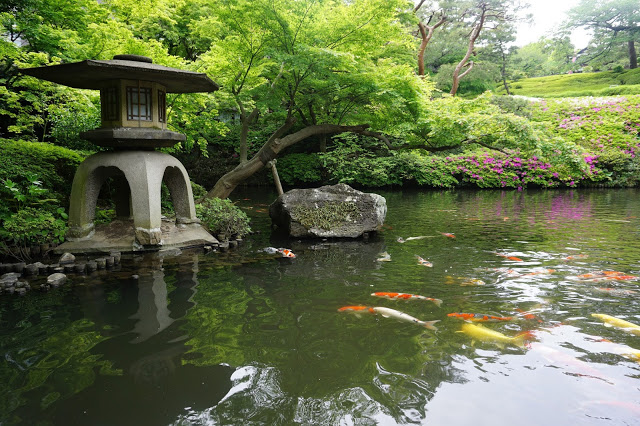 5. 八芳園
八芳園以從四面八方觀賞皆美麗之意而命名,為江戶時代德川家康的大臣大久保彥左衛門的住處,現在則成為許多人舉辦婚禮、拍婚紗照的熱門場所。另外,八芳園內的櫻花也是非常美麗的,而且不像上野恩賜公園那樣人擠人,超級推薦大家來這邊賞櫻唷!