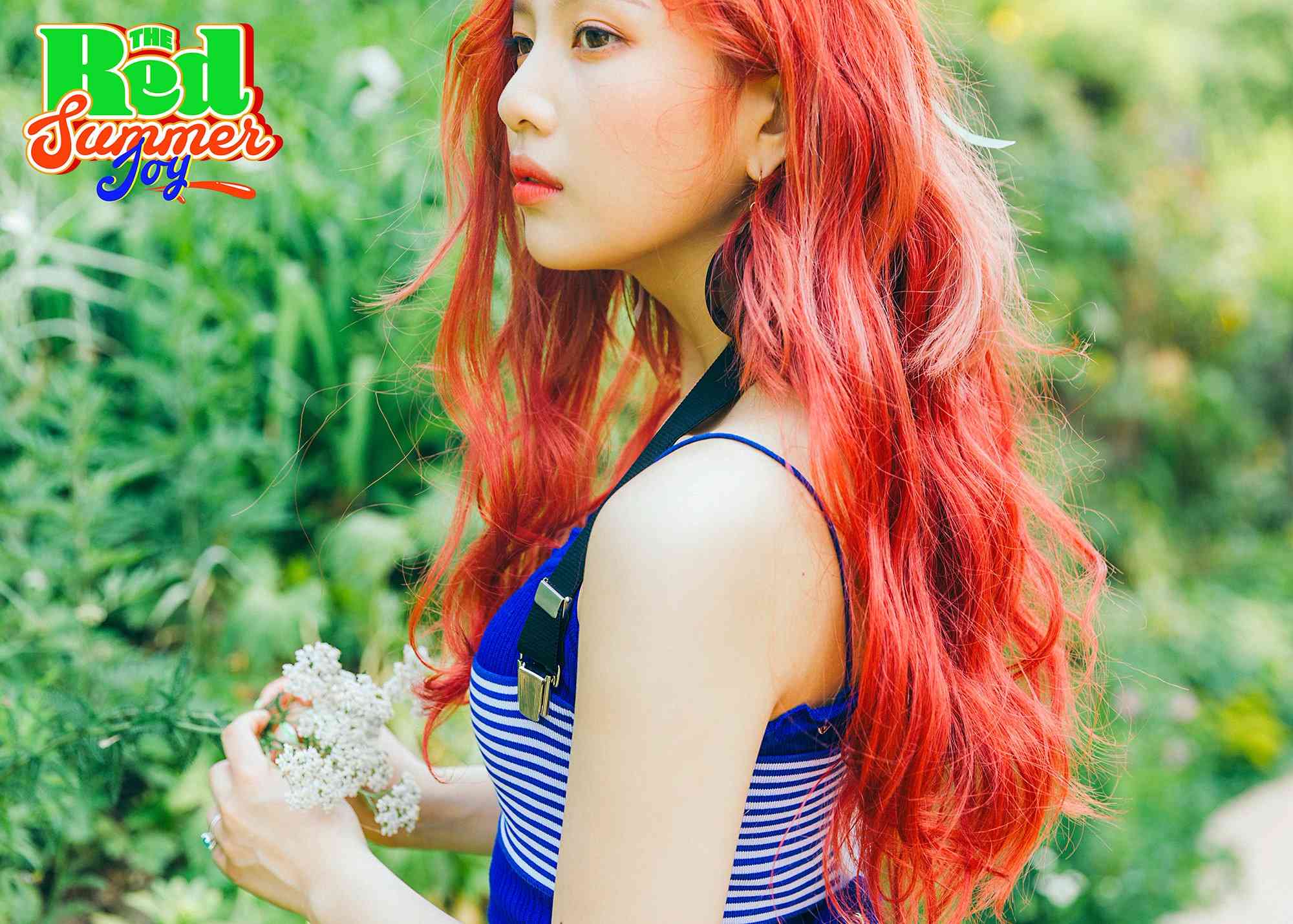 Red Velvet Joy
貝貝中的