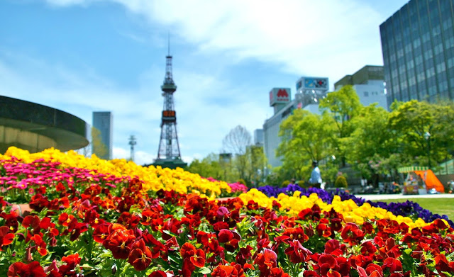 3.大通公園
有札幌心臟之稱的大通公園是札幌市民日常休閒遊憩的公園,也是舉辦札幌雪祭、札幌啤酒節等各種祭典和活動的重要場所。而著名的地標札幌電視塔也位於此,可在札幌電視塔展望台裡清楚看到舉辦各種活動、四季花草盛開的大通公園景緻。
