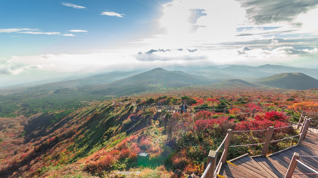 有多條登山路線,可以根據自己的登山經驗選擇,小編去年去爬漢拏山走錯步道,走到人家專業登山在爬的、最陡峭的那條,下山時感覺膝蓋都散了,然而一起去的那群朋友還是有人有登頂,可見漢拏山登頂不難啦~
觀音寺登山路線有露營場,下山後附近有許多馬場,有興趣的旅客可以順道體驗馬術課程。