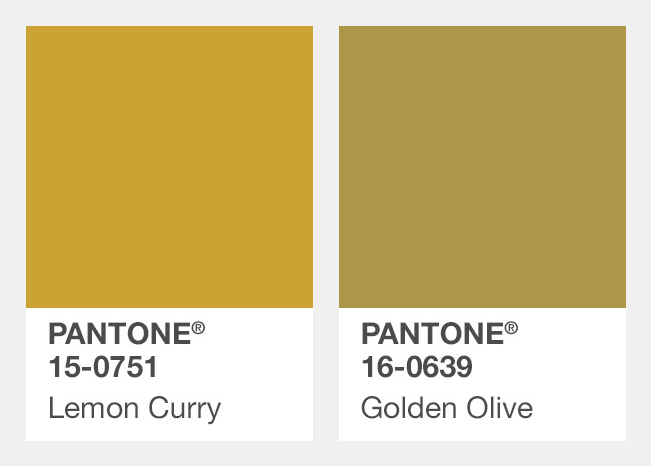 #芥末黃、橄欖黃色
Lemon Curry黃檸咖哩、Golden Olive金黃橄欖色
一路從夏天流行到秋冬的黃色,從亮色轉為彩度比較低的顏色,這兩個色票的名子都是食物啊XD
