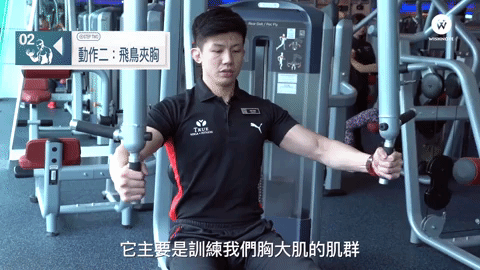 動作二:飛鳥夾胸
使用擴胸的健身器材鍛鍊胸大肌的部分,吸氣慢慢地向外,這個動作對於提高胸形非常有幫助!畢竟胸部部位的肌肉平常很少使用到!