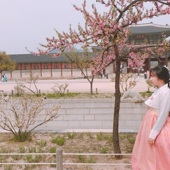 不過hanbok plus據說人滿多的,如果沒有一開店的時候就衝進去,可能會搶不到喜歡的啊!摩登少女這邊附上地址和營業時間給大家囉!
營業時間:10:00~20:00止
地址:종로구 체부동51 2층 한복더하기