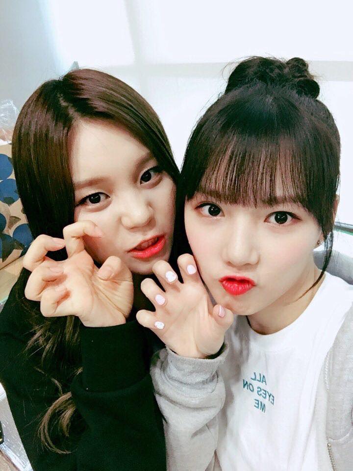 GFRIEND-Yerin.Umji(8月19日)
兩個人都是可愛的獅子寶寶,也有粉絲也是獅子座的嗎?
(小編默默舉手+1)