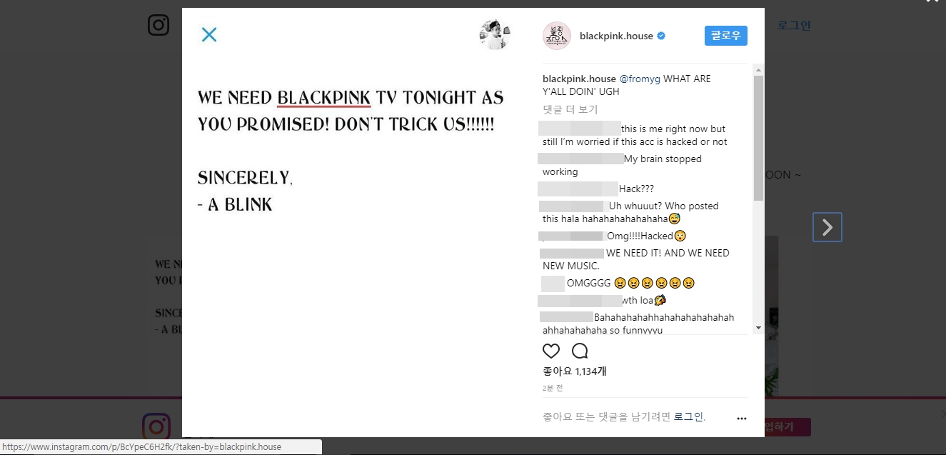 因為這位「熱血駭客」侵入官方IG僅留下一句話「我們今晚需要BLACKPINK TV,你答應過的!不要騙我們!!!!! A BLINK敬上」更標註了YG社長的帳號,就是要讓老楊不要忽視阿!