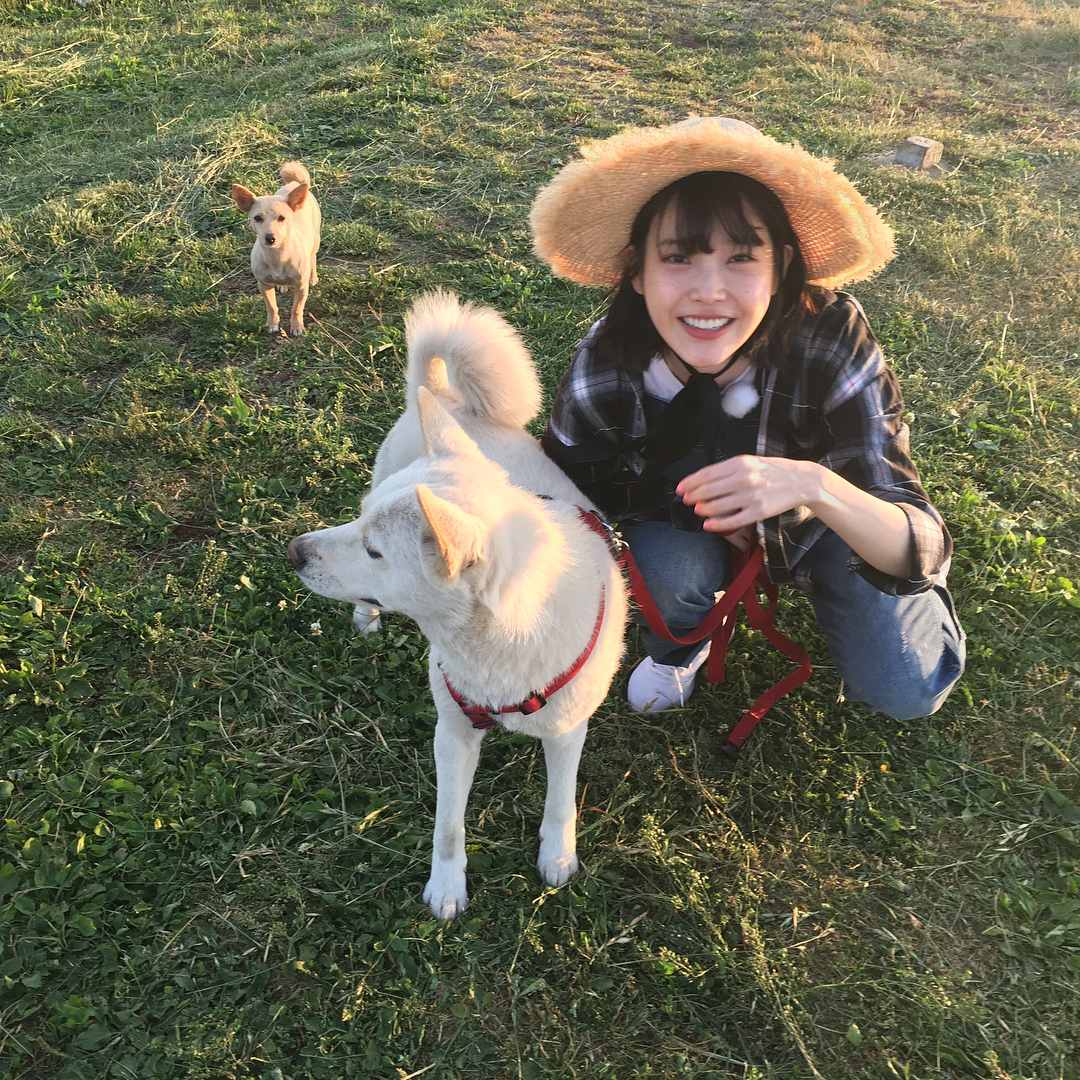 雖然身分是大明星但私底下絲毫不擺架子,對待工作人員以及粉絲都相當真誠,在綜藝節目《孝利家民宿》中親切的表現受到喜愛,但很可惜因為IU明年要拍攝戲劇作品的關係無法錄製第二季,讓許多粉絲都覺得相當可惜!