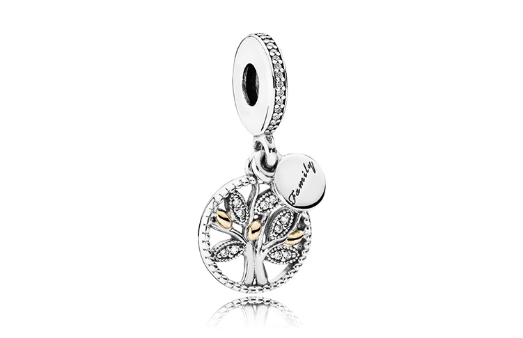 大過年免不了拜年,探視各方長輩,這款Family Tree Silver Dangle Charm象徵家庭與家族,團結又凝聚所有人的心,配上Family的字樣,是拜年最適合配戴的串飾。