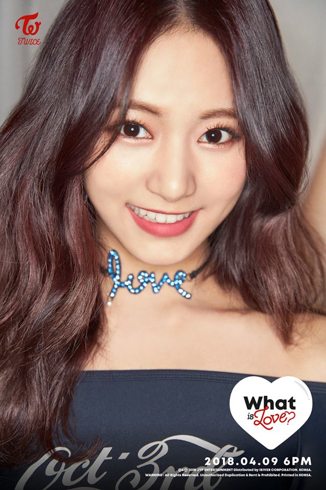 TWICE除了在4月要發行新專輯之外,5月也將開始第二次巡迴演唱會《TWICELAND ZONE 2 : Fantasy Park》,滿滿的活動讓粉絲忍不住大喊 : 簡直就是擺明了要搶劫大家的腎(笑XDDD)