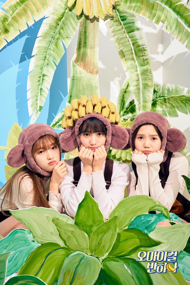 除此之外OH MY GIRL近日又因歌詞的部分而惹上爭議,新歌《Banana Allergy Monkey》講述著對香蕉過敏的猴子,這段歌詞引起過敏症病人和家屬的不滿,認為這首歌帶有諷刺的意味...