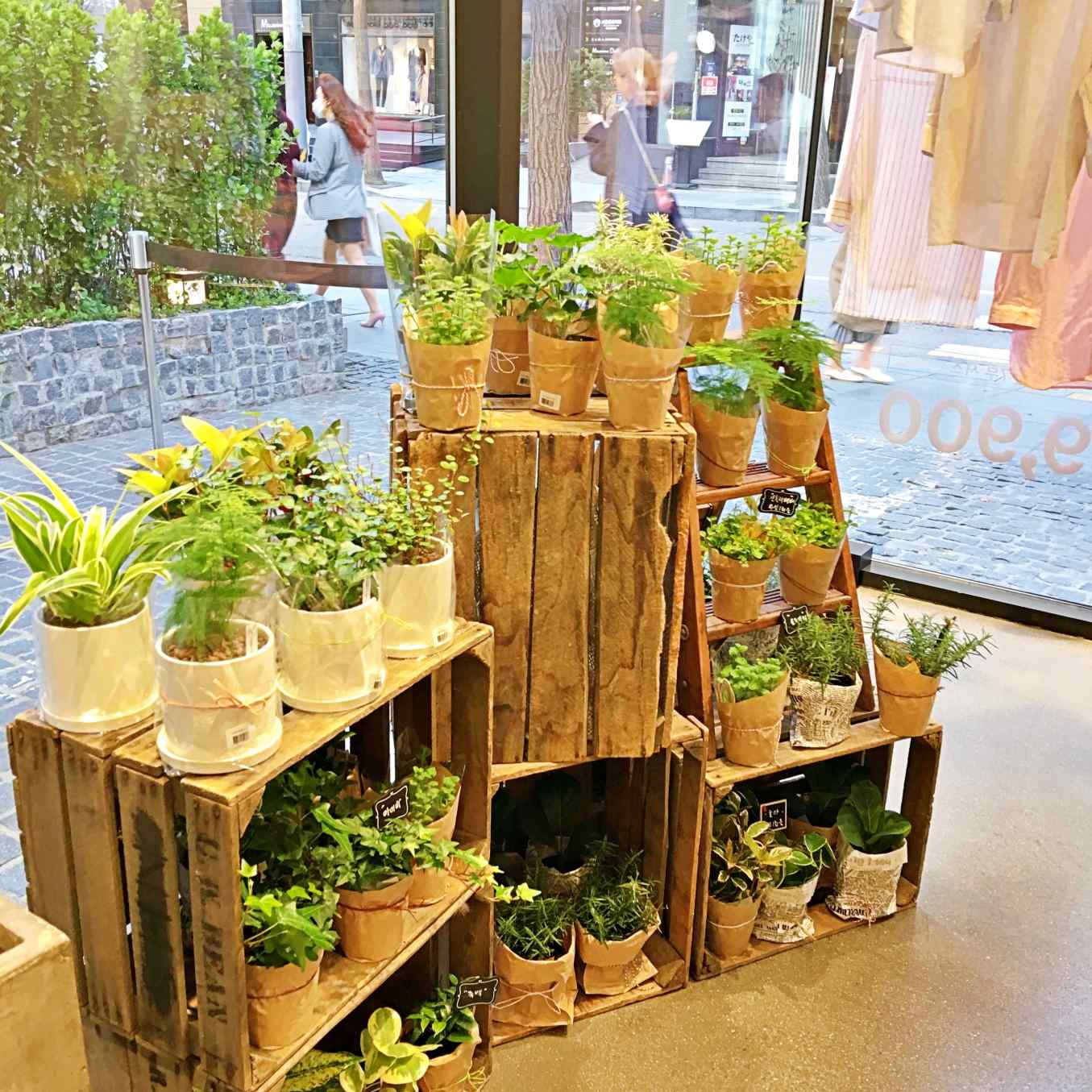 店家資訊-
店名:JAJU 자주
地址:首爾 江南區 新沙洞536-16 서울특별시 강남구 신사동 536-16
官網:http://living.sivillage.com/jaju/display/displayShop
營業時間:平日 AM 11:00 - PM 22:00 週日 AM 11:00 - PM 21:00
