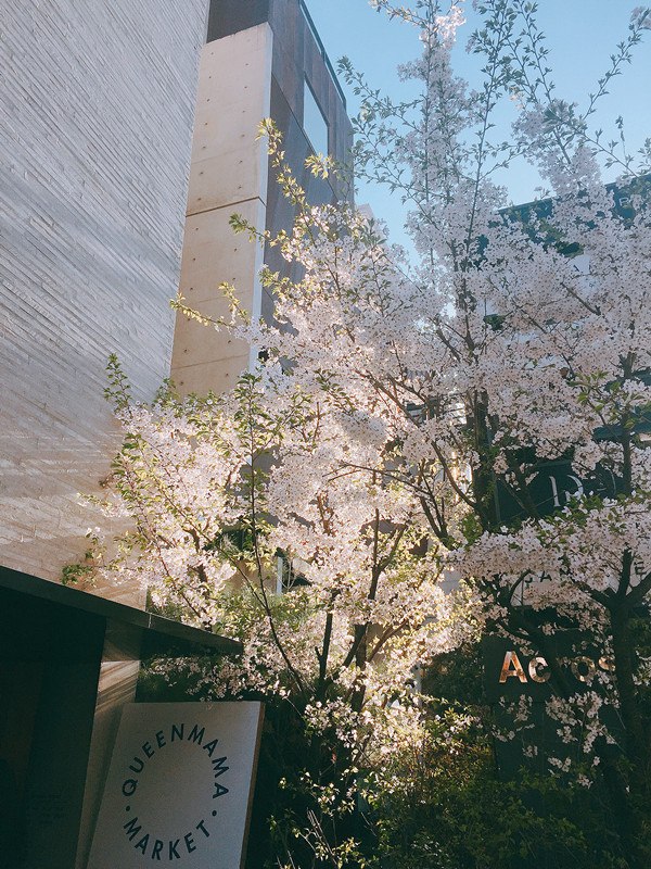 Queenmama Market(퀸마마마켓)
地址:서울특별시 강남구 압구정로46길 50 (50, Apgujeong-ro 46-gil, Gangnam-gu, Seoul, Republic of Korea)
營業時間:星期二~星期六10:30~20:00星期日12:00~20:00 星期一公休
